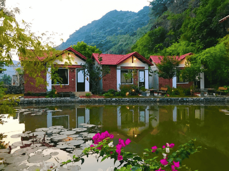 homestay hang múa ninh bình 