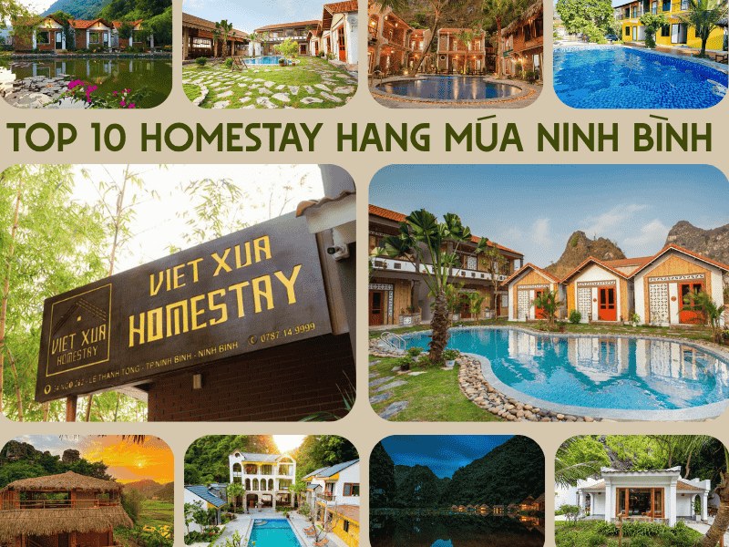 homestay hang múa ninh bình