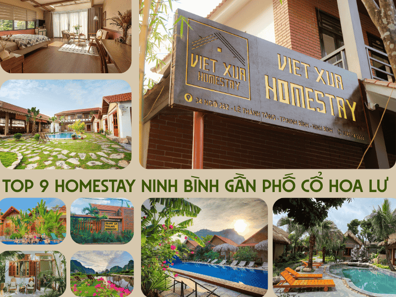 homestay ninh bình gần phố cổ hoa lư